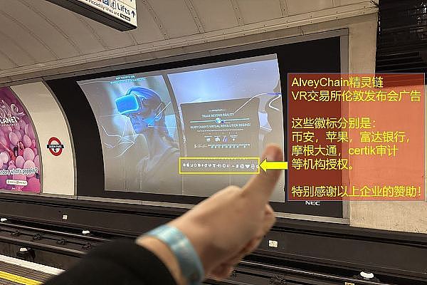 瑞波币的疯狂12天：巨鲸狂欢背后藏着哪些秘密？