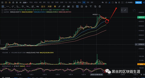 山寨币狂欢：这些潜力币种正引发市场热议