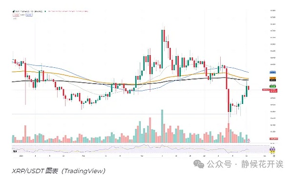深度解析GALA币：暴跌后的强势反弹能否持续？